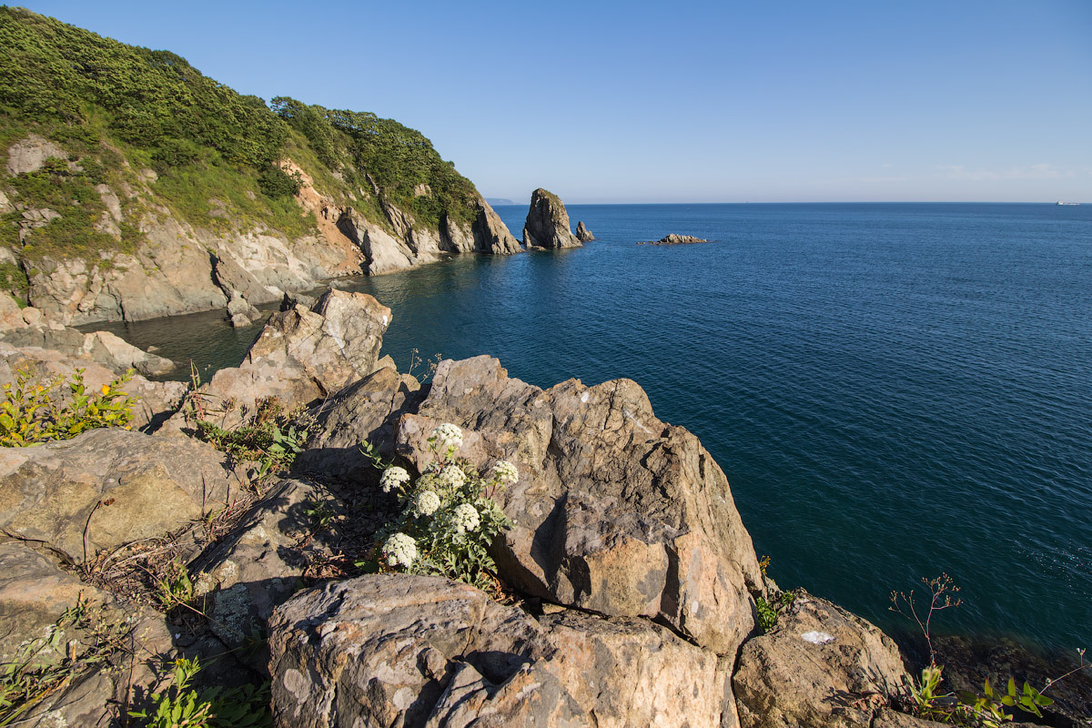 У самого синего моря