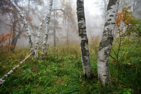 Наступающая осень