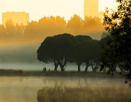 на рассвете.