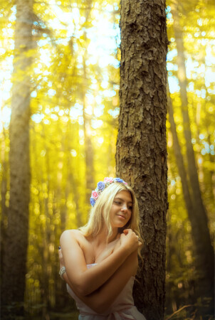Forest Tale