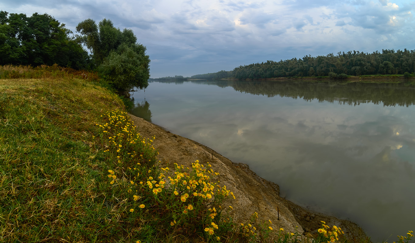 Цветы на берегу