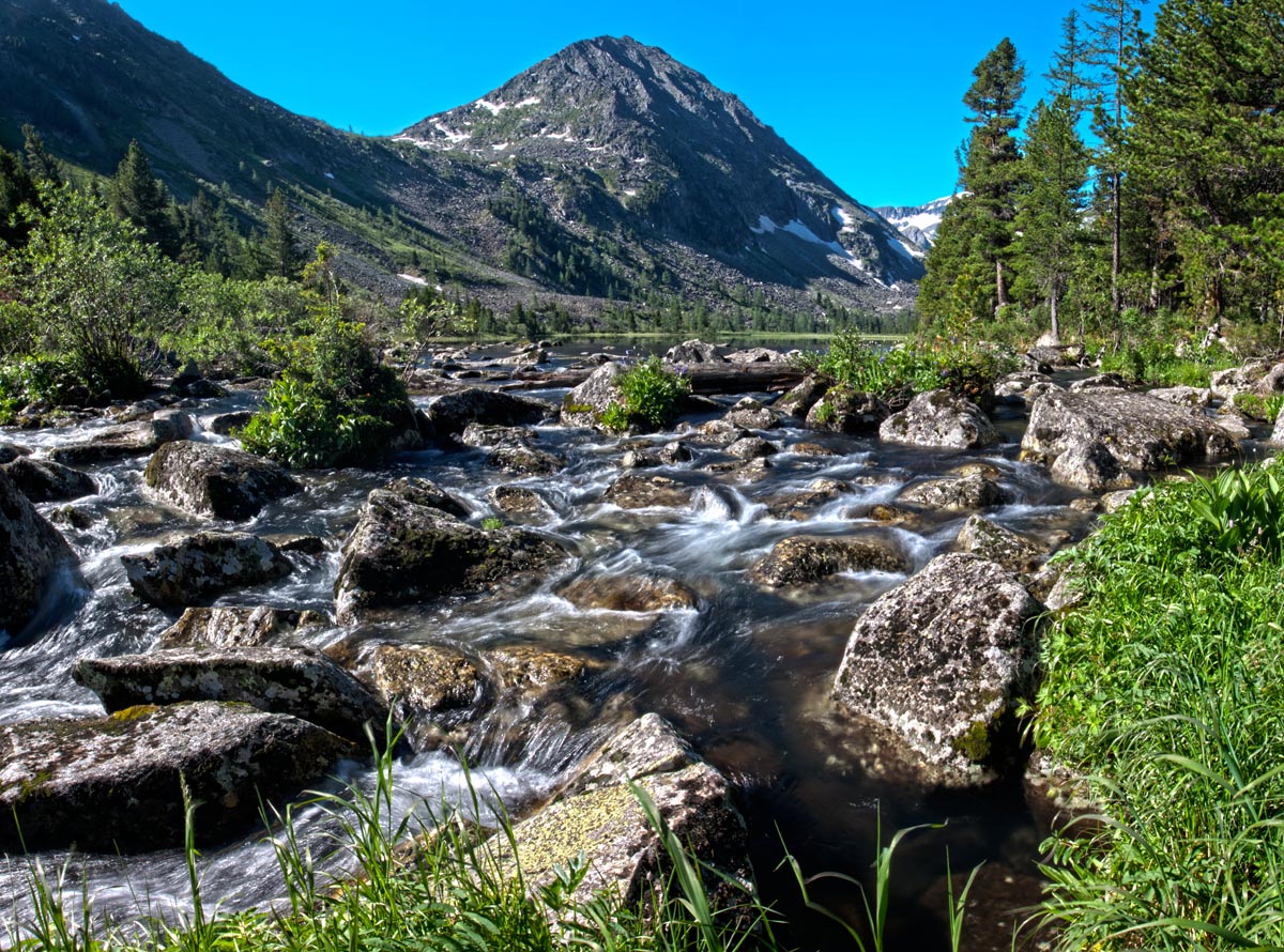 Крепкое