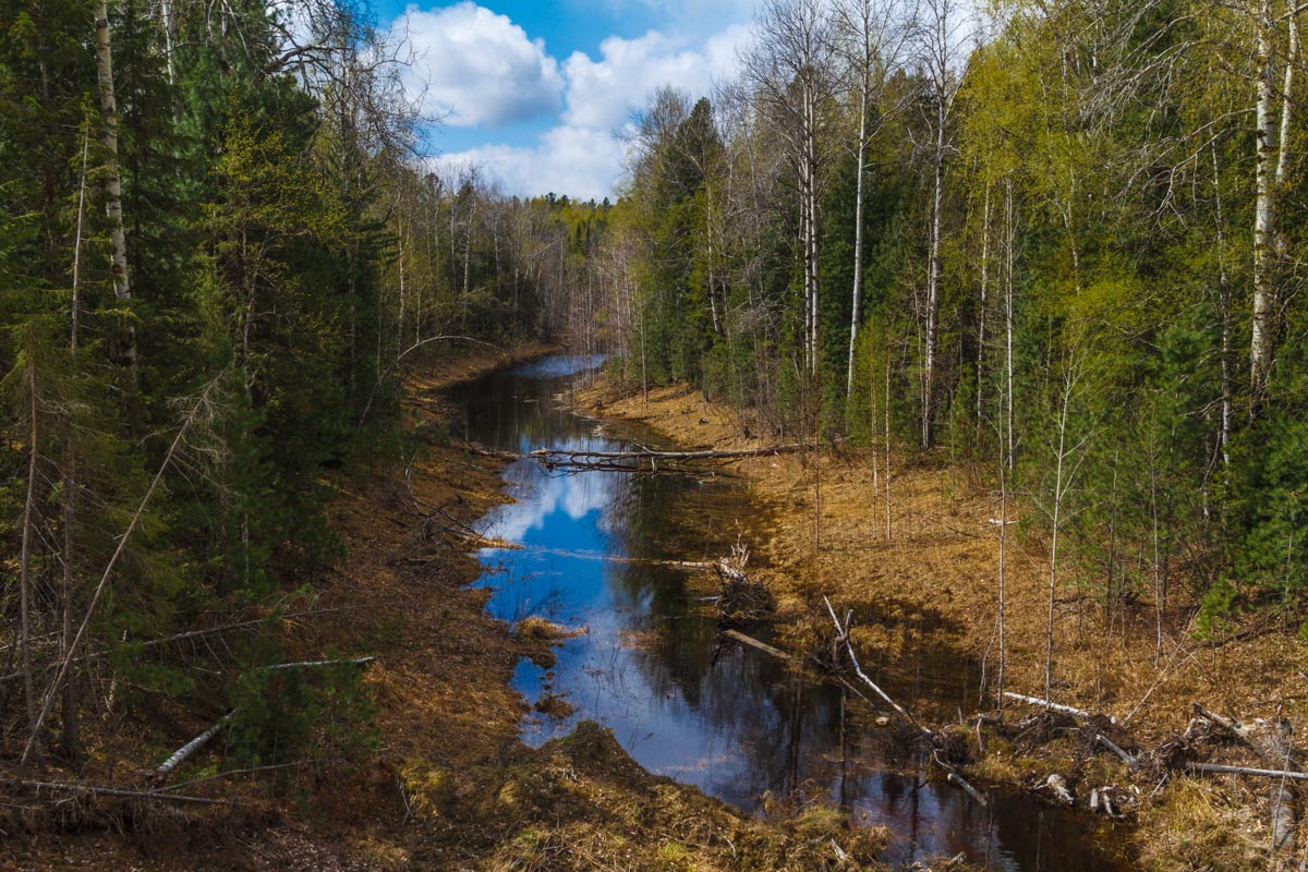 Ручей. Весна.