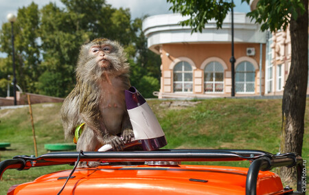 Настоящая актриса!