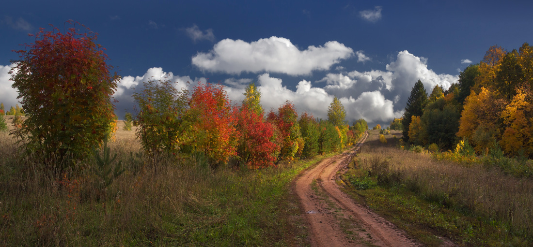 Осенняя панорама