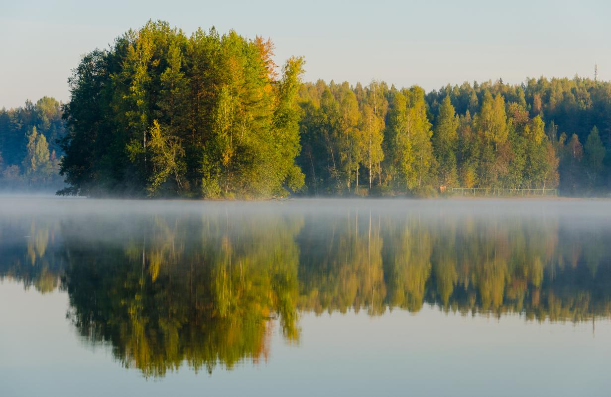 Осеннее утро