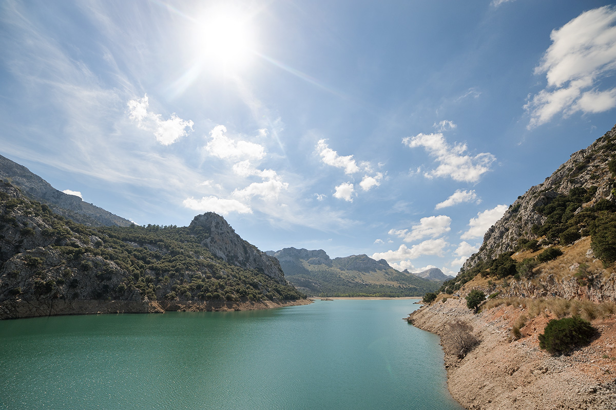 Panta de gord blau (Mallorca Spain)