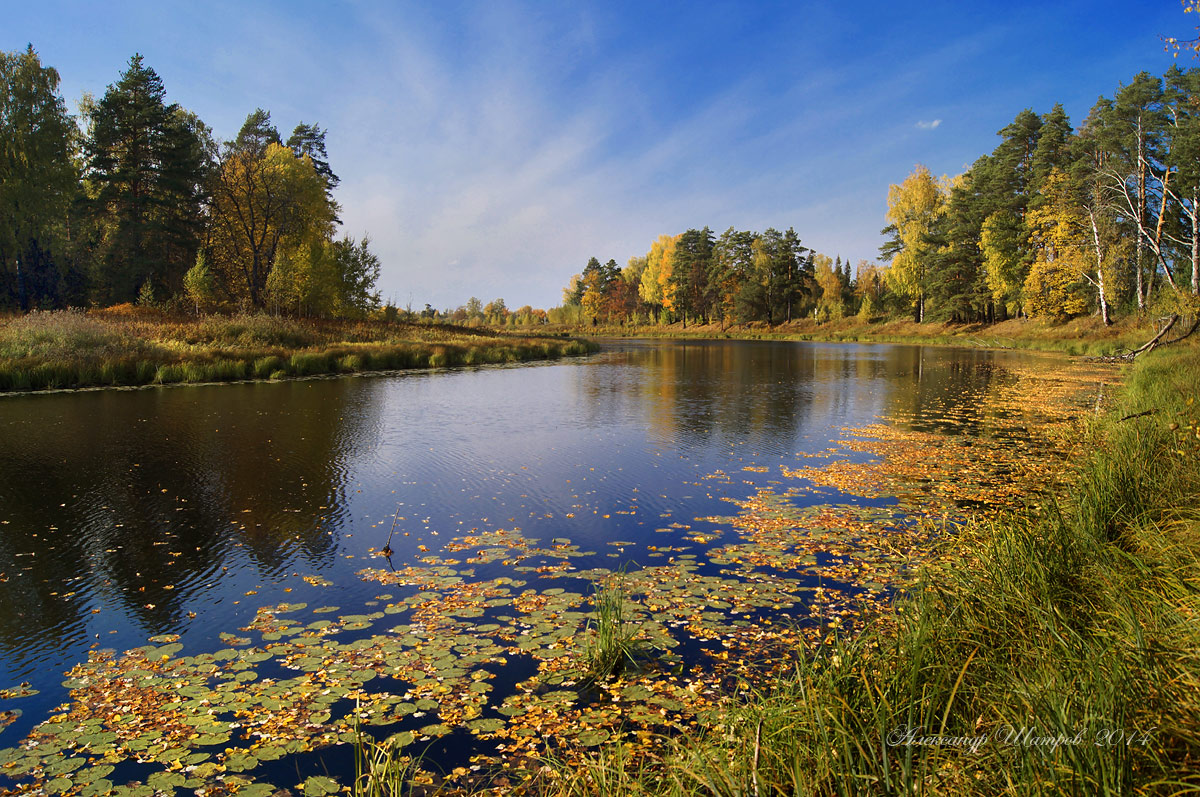 Королева Осень