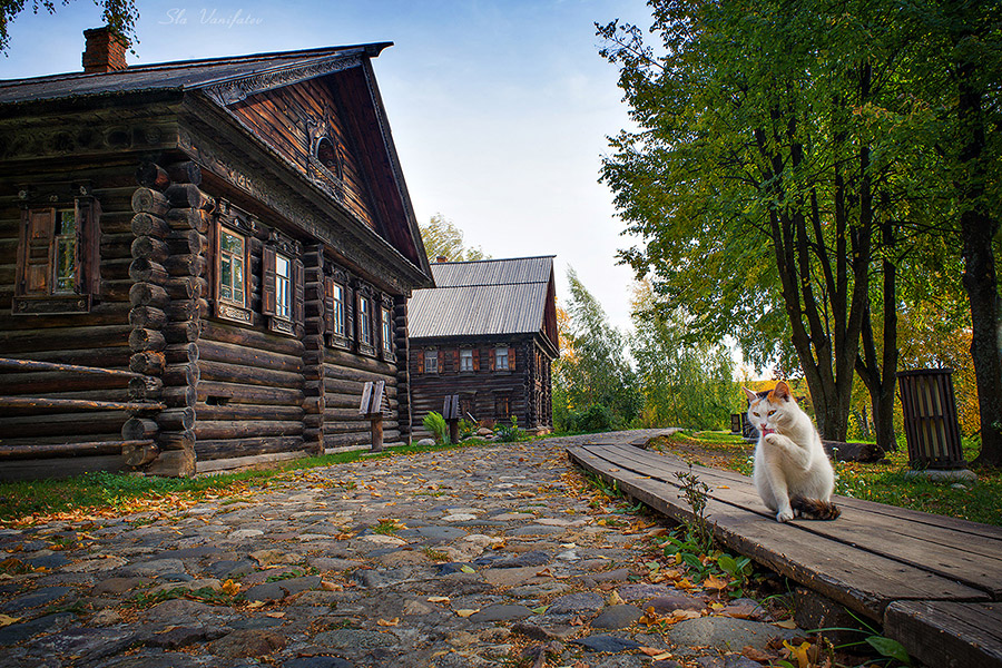 Костромские ...