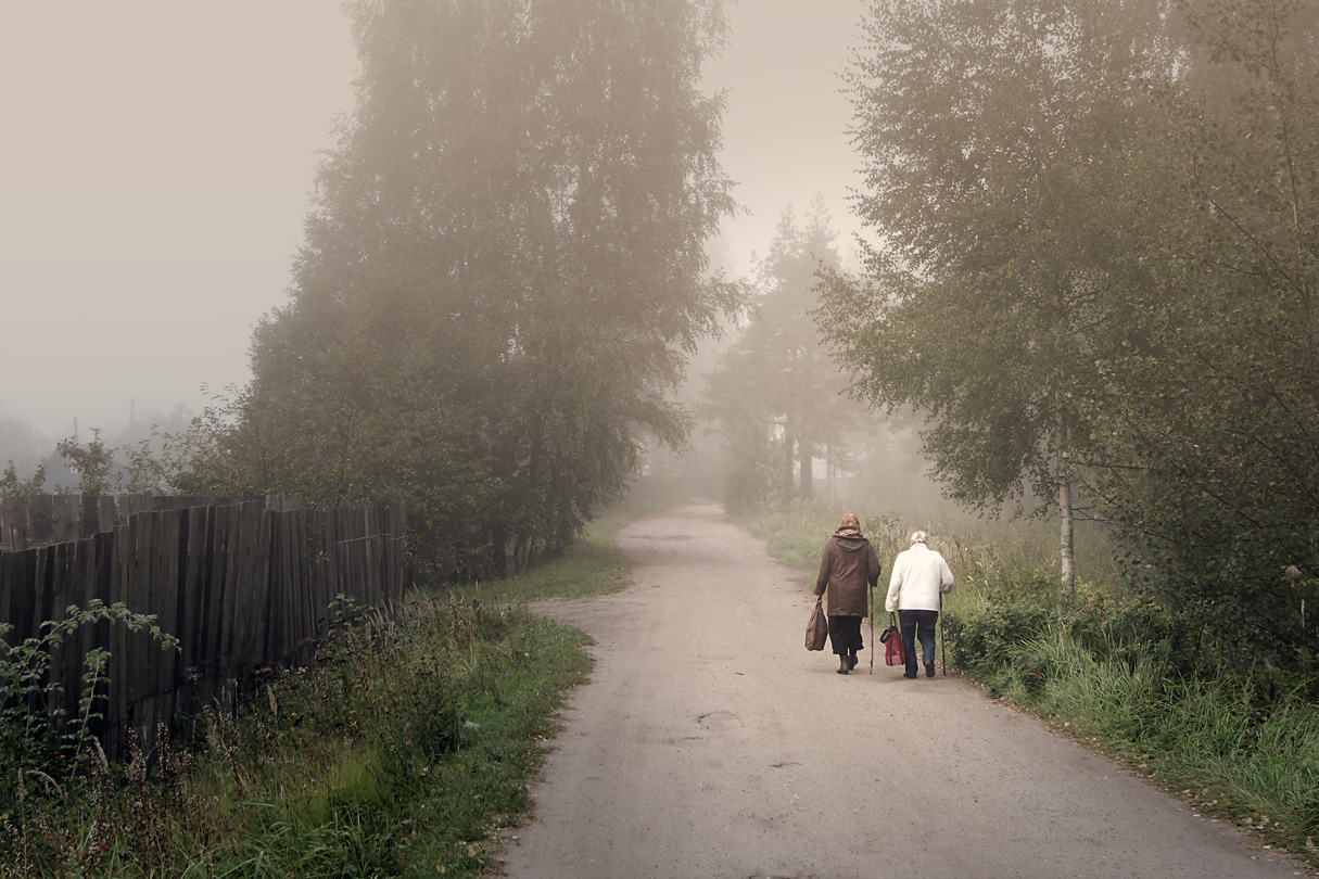 Дорога в туман