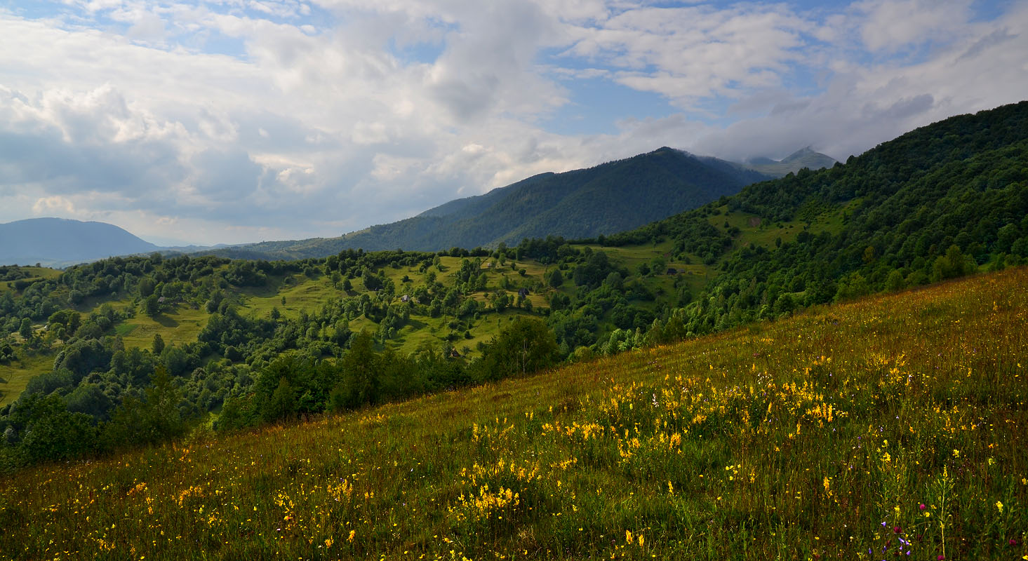 Горная поляна