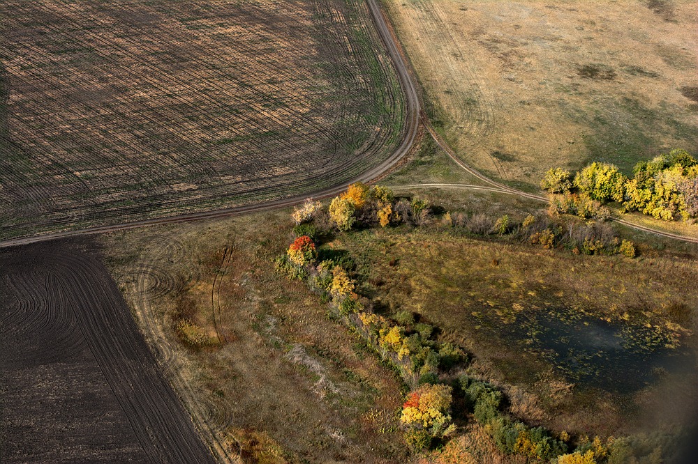 Осень глазами птицы