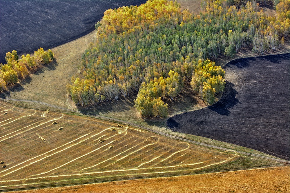 Осень глазами птицы-2