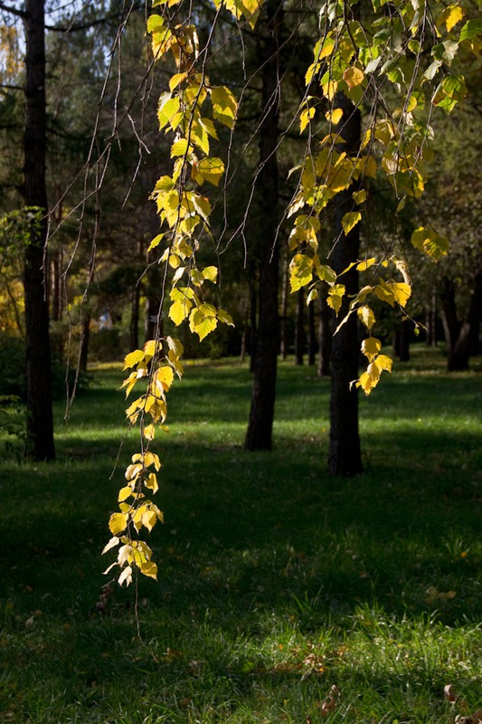 Палитра сентября