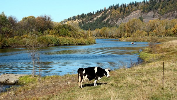 Осень