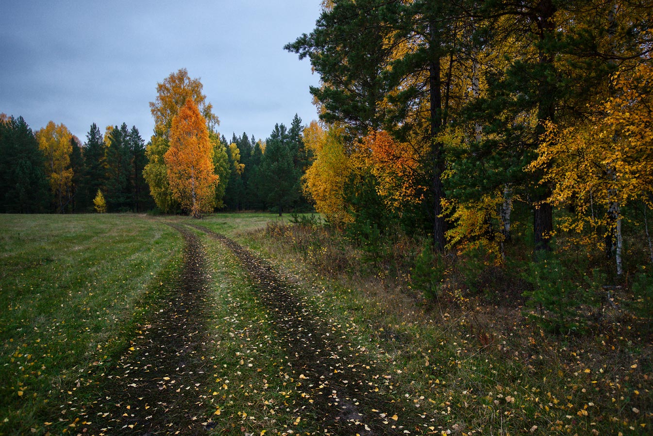 Путь к осени