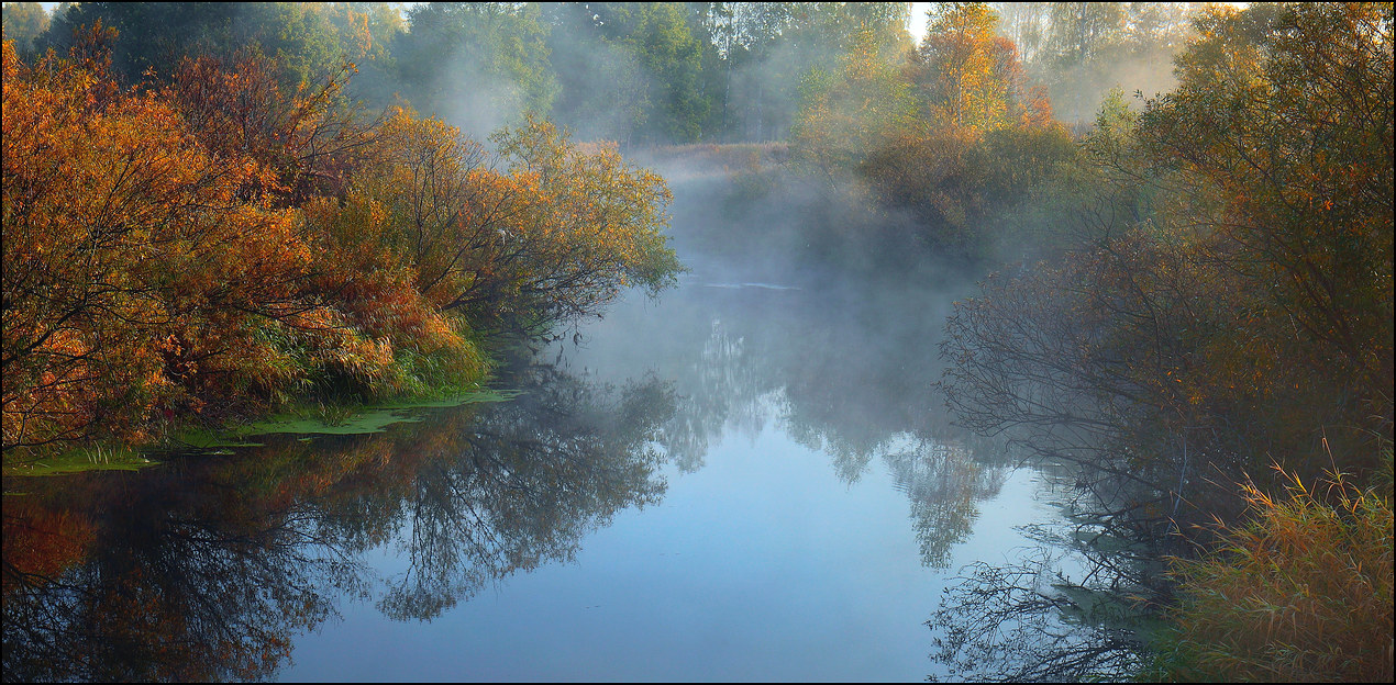 Осень - рыжая лисица