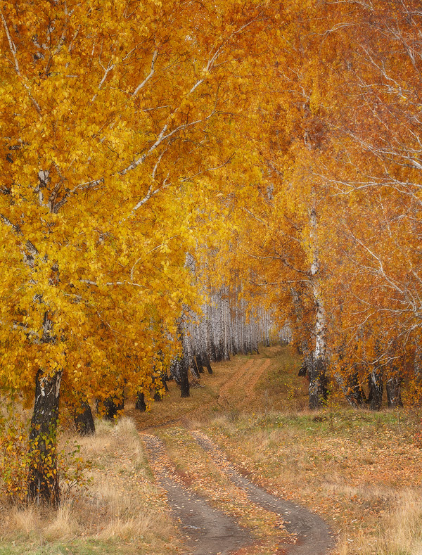 Осенняя живопись