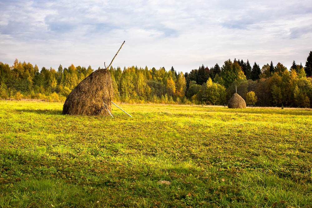 Осень