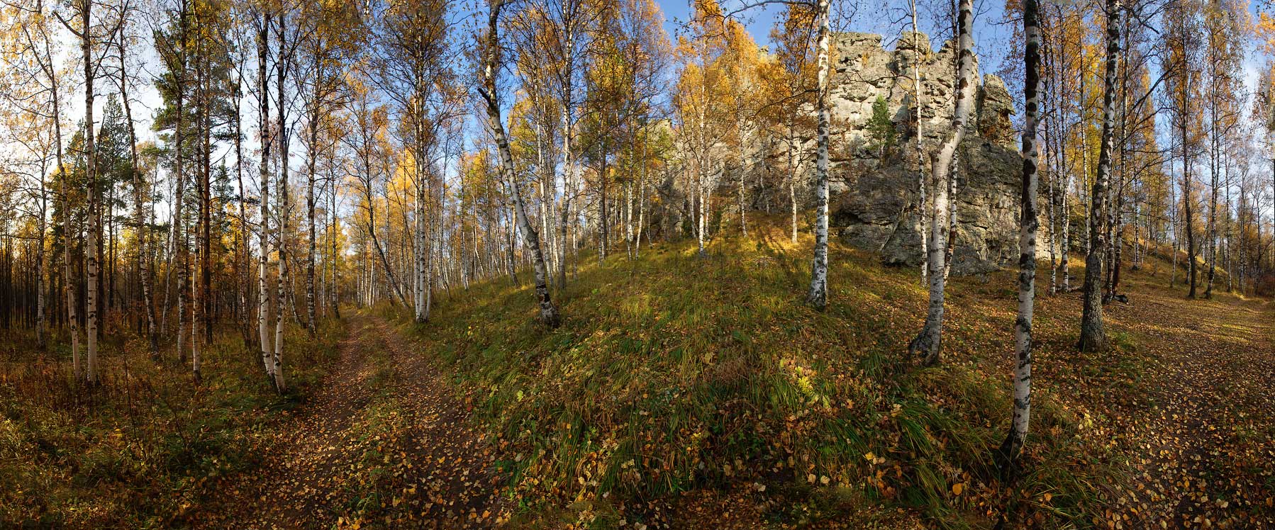 Разгулялась