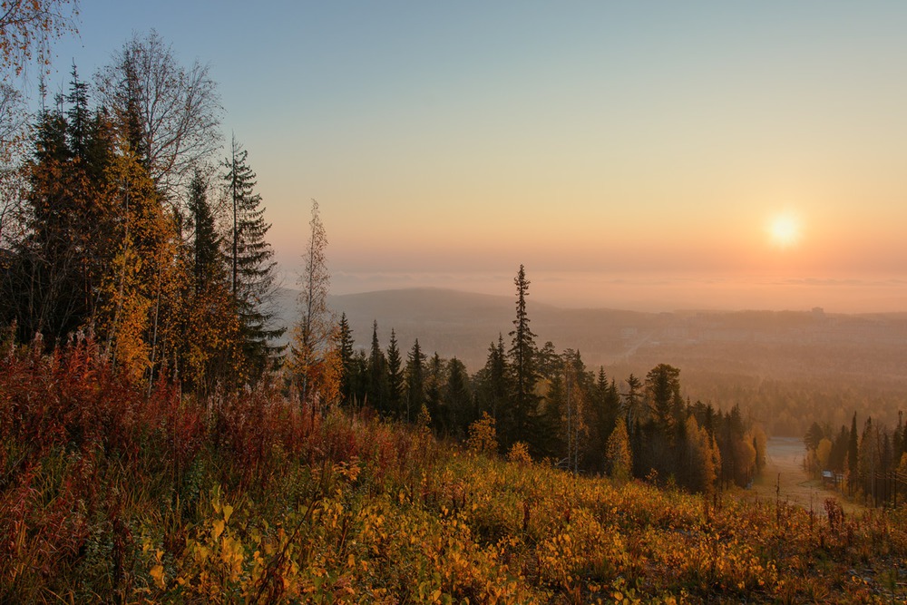 Осеннее утро