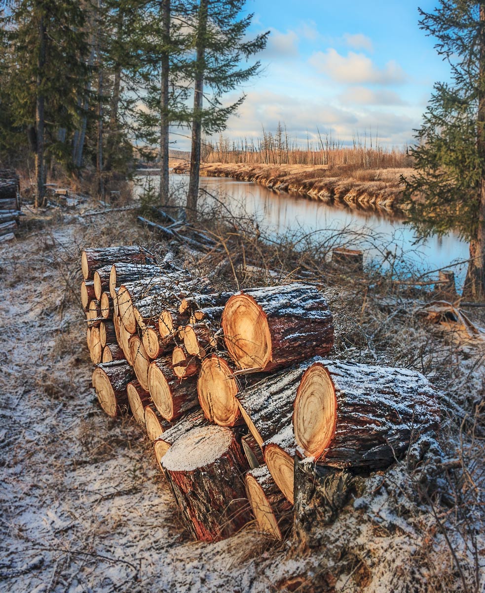 Дровишки