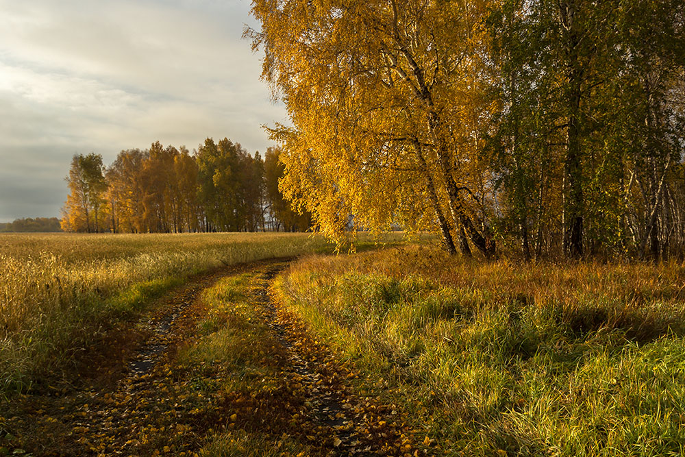 Осеннее настроение.