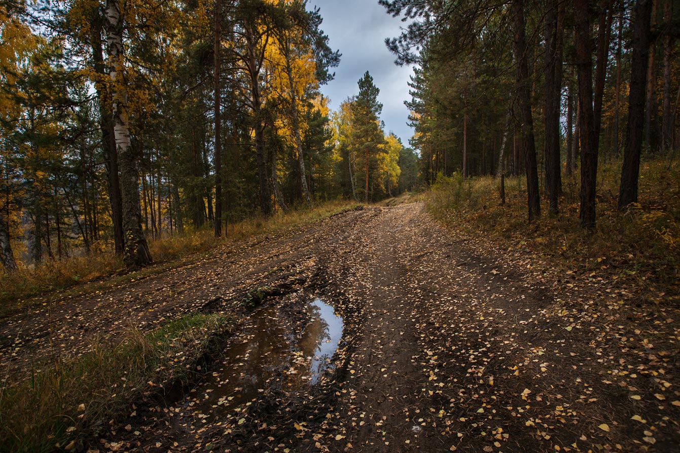 Об осени...