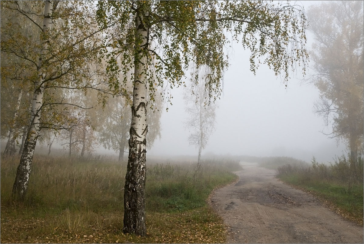 По дороге из Макарихи