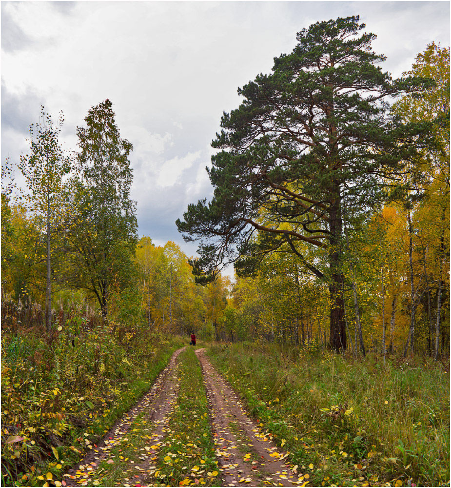 Осенняя дорожная