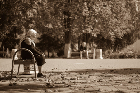 полдень