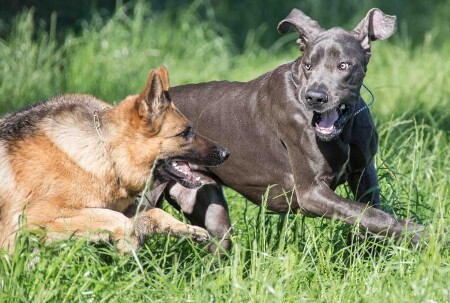 &amp;quot;И тут они нам на встречу!..&amp;quot;