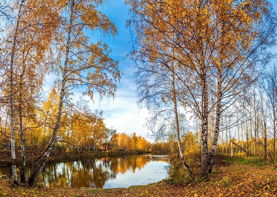 Осенние краски