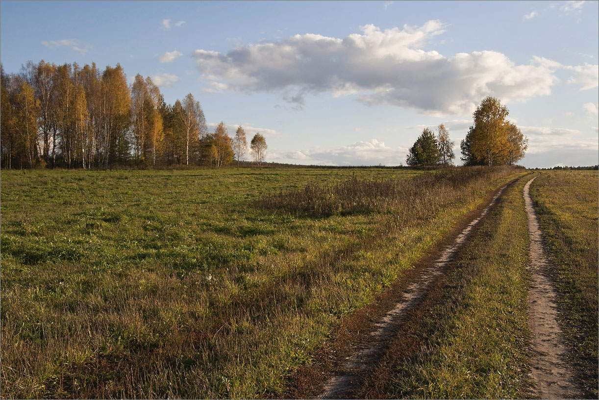 В чистом поле