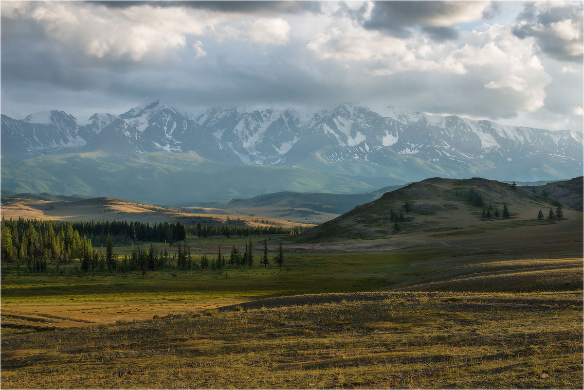 Курайская степь.