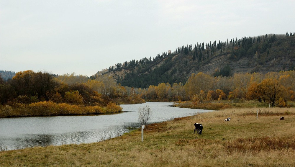 Осень