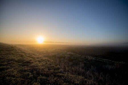 утренний туман