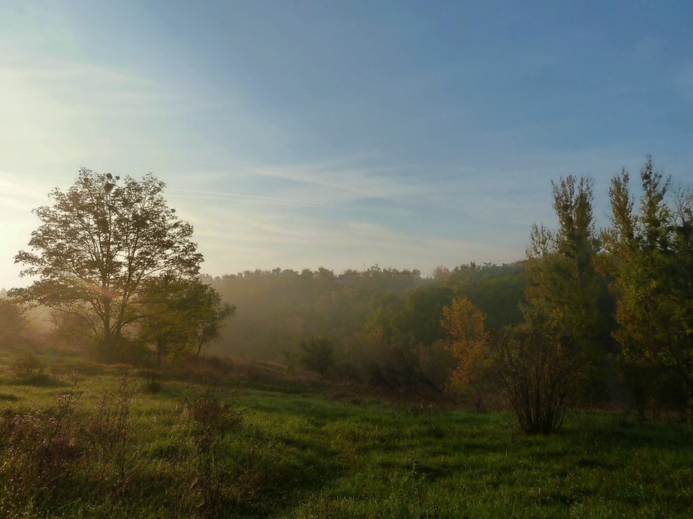 ранкова тиша