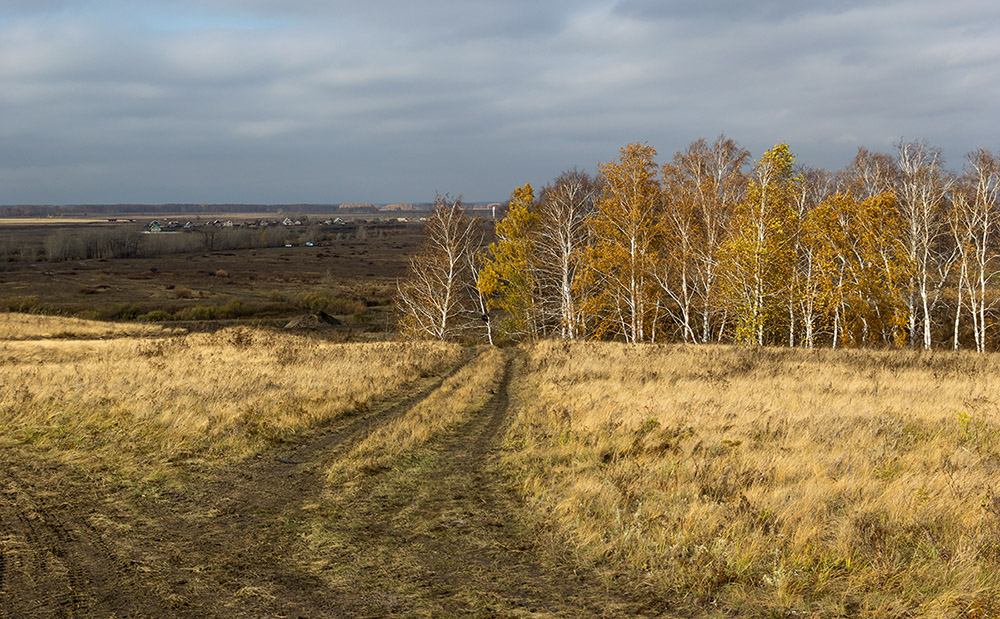 Поздняя осень.