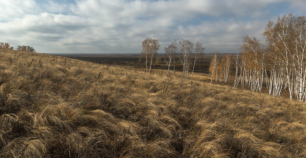 Поздняя осень 2