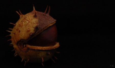 Инопланетянин