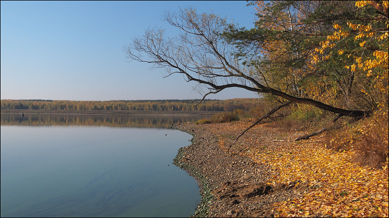 Осенний берег