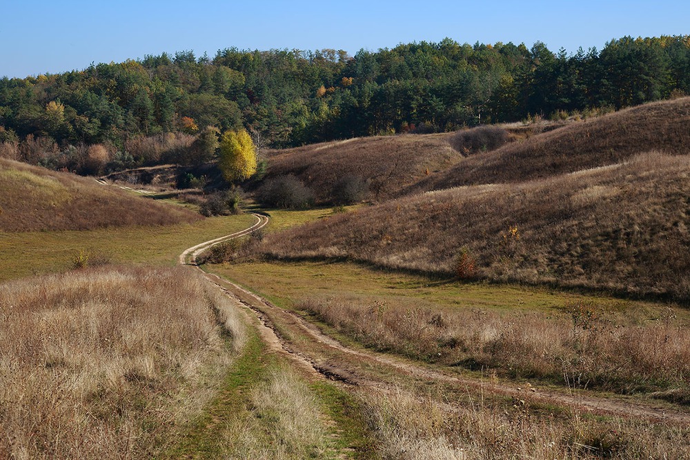 осенняя