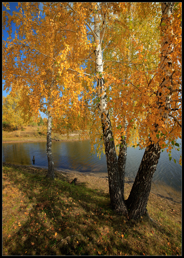 Осеннее...