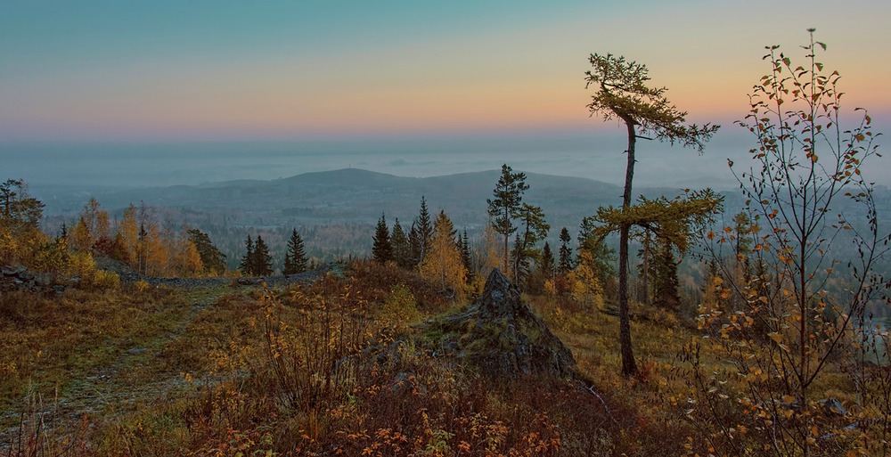 Перед рассветом