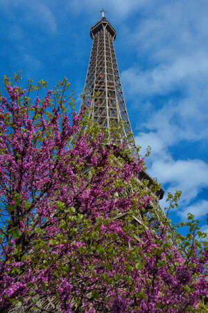 Весна в Париже