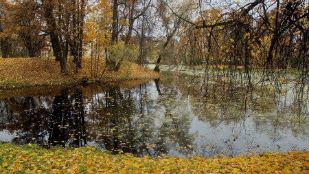 Листопад