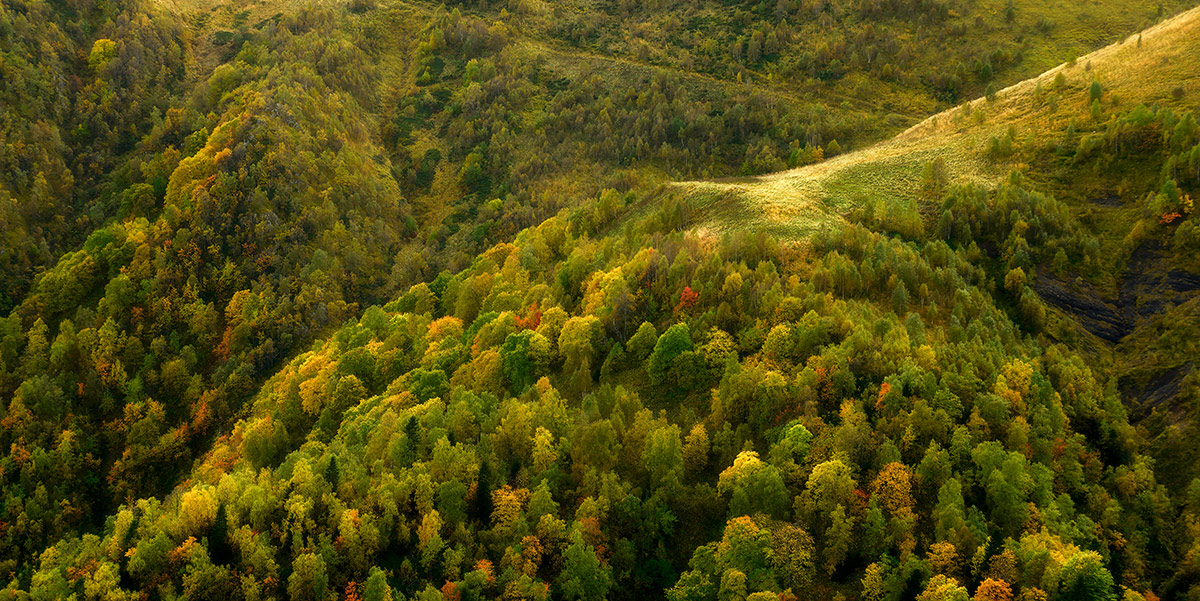 Осень