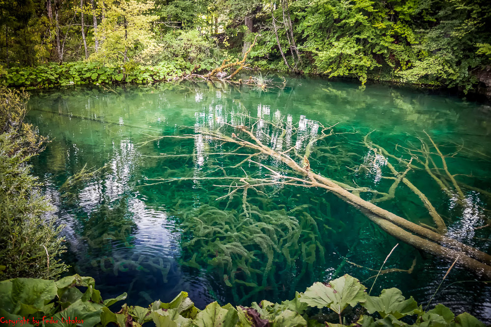 Хорватия. Плитвицкие озёра