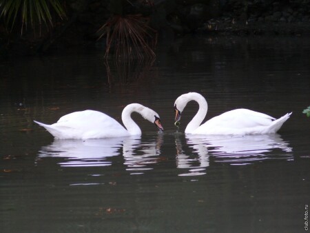 И вечность покажется мгновением
